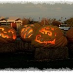 halloween-2011-hp