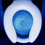 toilet-flush